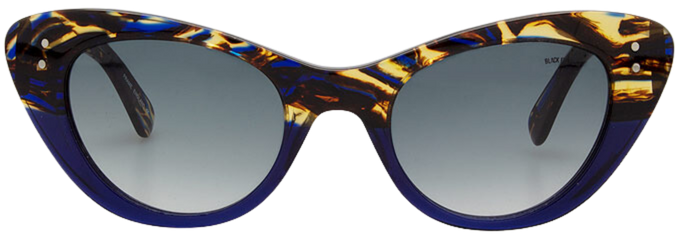 Zebra Tortoise - Front