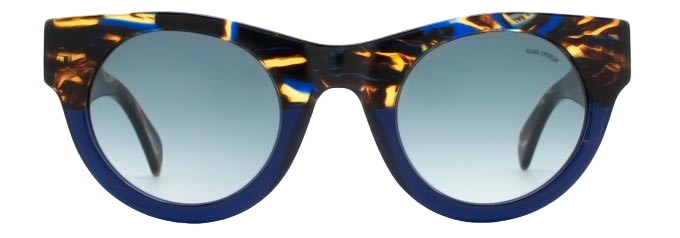 Zebra Tortoise - Front