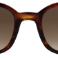 Light Tortoiseshell - Front