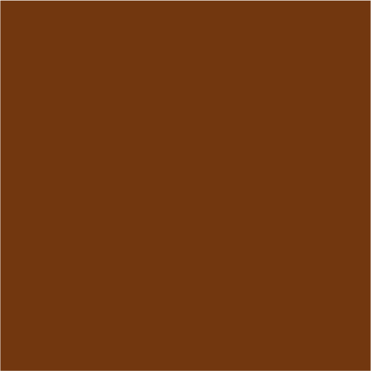 Bronze Image