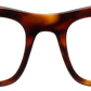 Light Tortoiseshell - Front
