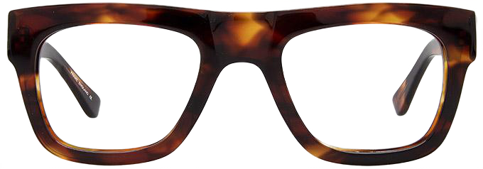 Light Tortoiseshell - Front