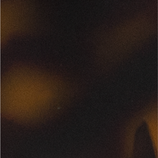 Dark Tortoiseshell Image