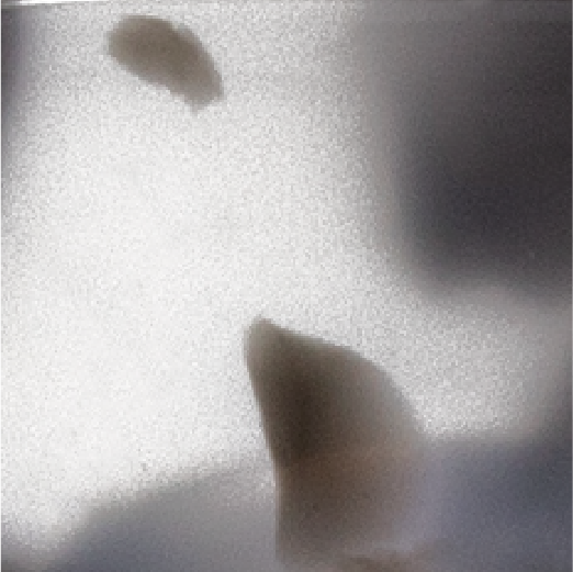 Grey Mottle Image
