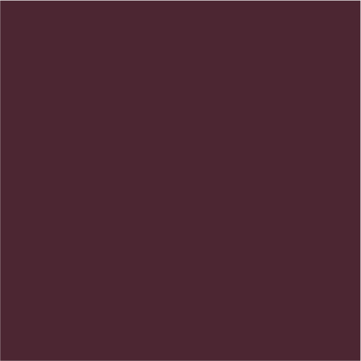 Plum Image