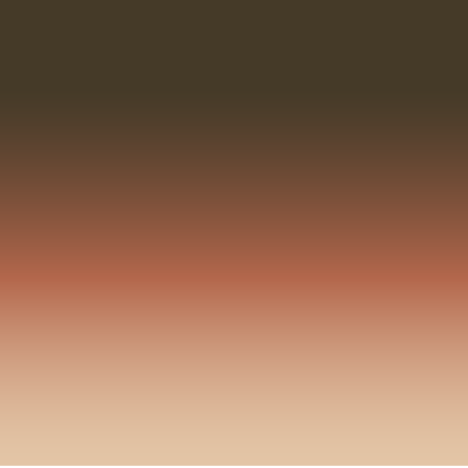 Two Tone Brown Image